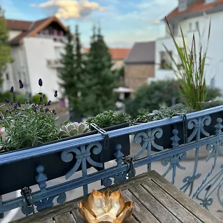 Sweetleopold1 * Bad Kreuznach