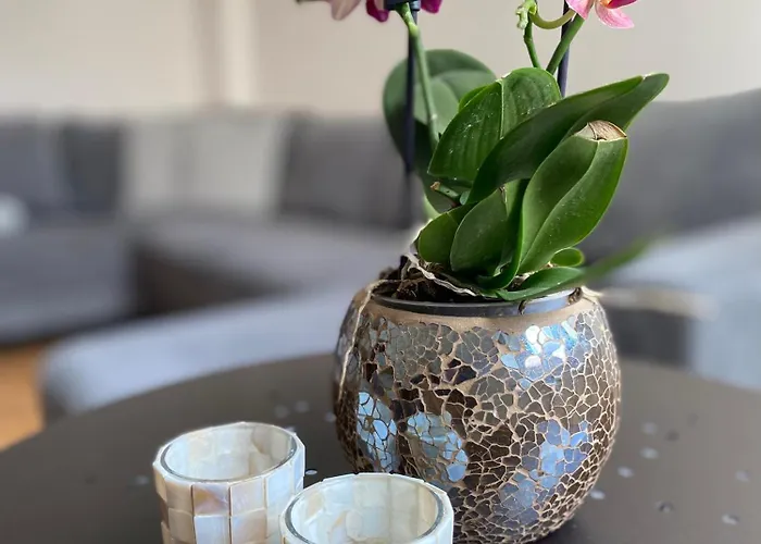 Sweetleopold1 * Bad Kreuznach