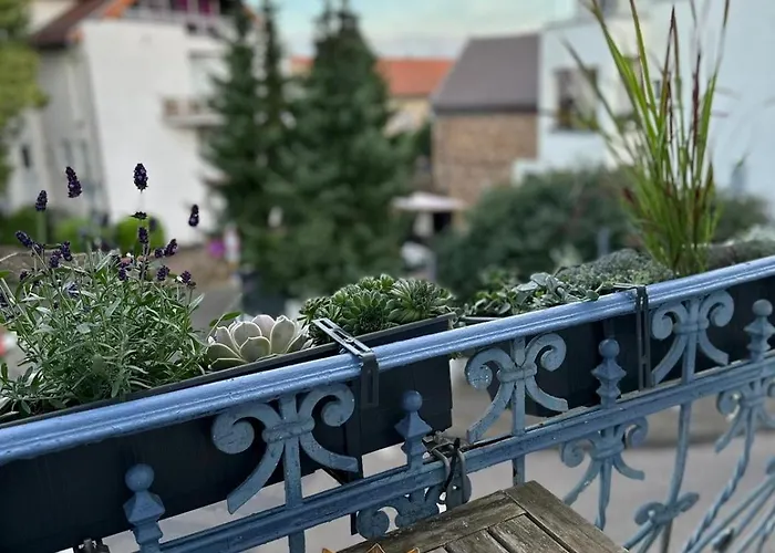 Sweetleopold1 * Bad Kreuznach